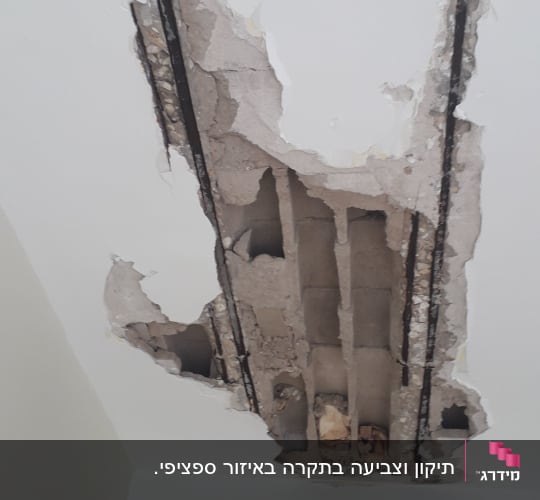 תיקון וצביעה בתקרה באיזור ספציפי.